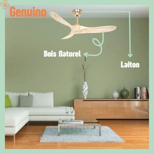 ventilateur plafond Casafan Eco Genuino